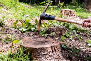 Stump Removal Logan
